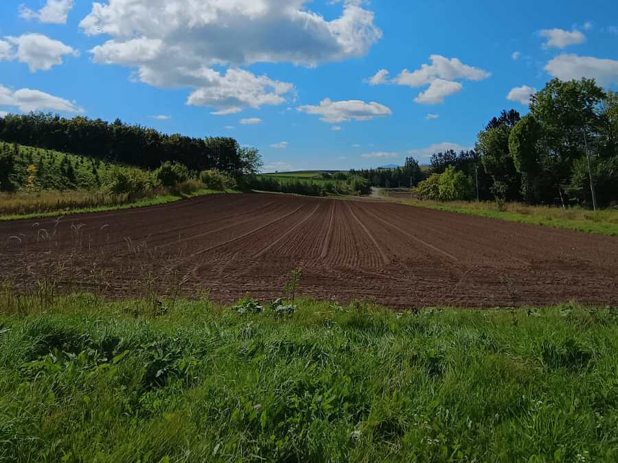 Image of property